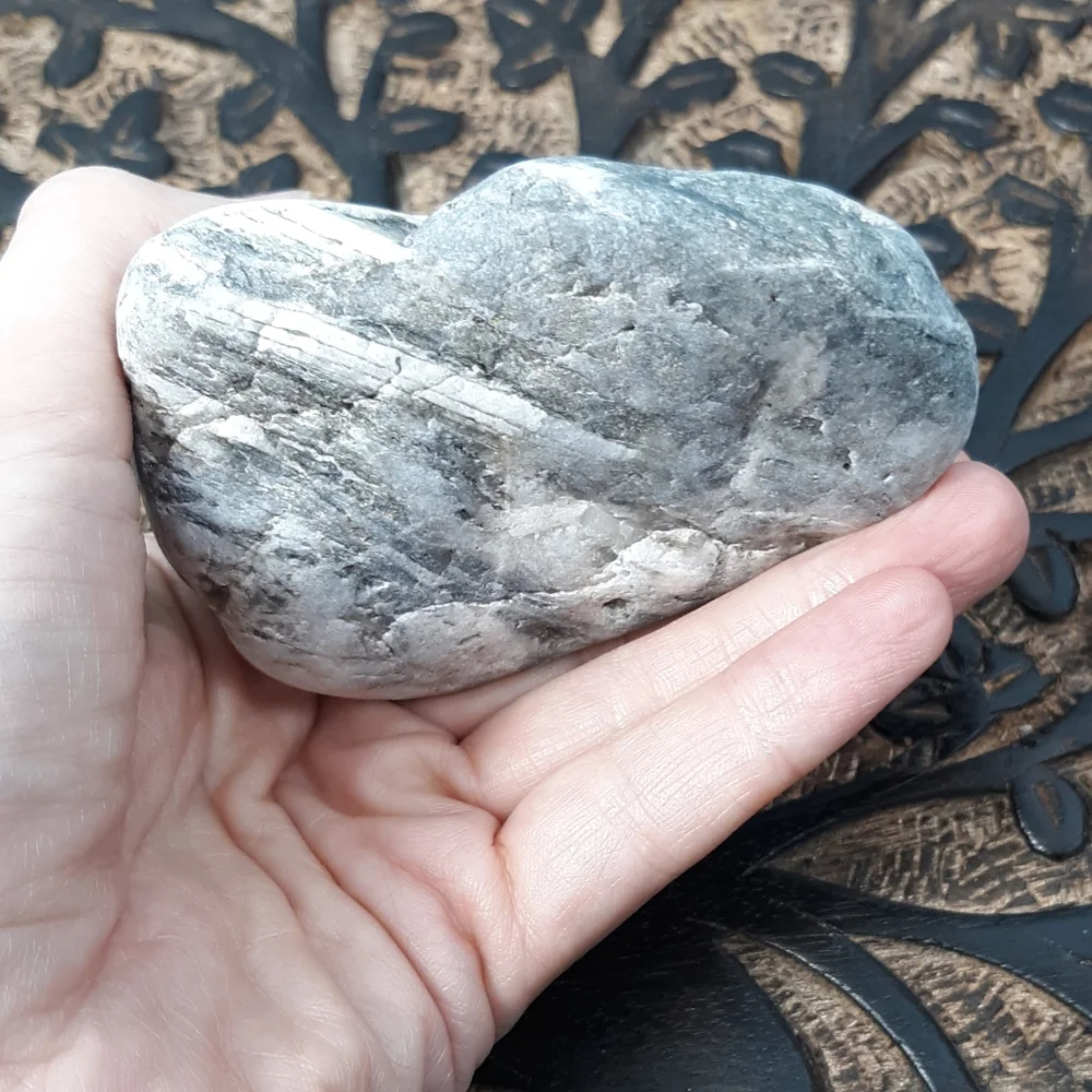 Maine Mottled Stone East Coast Lucky Beach Rock Raw Mineral Specimen Gray White